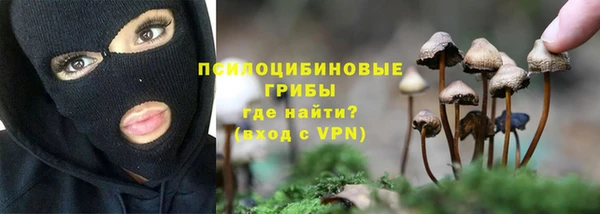 Альфа ПВП Балабаново
