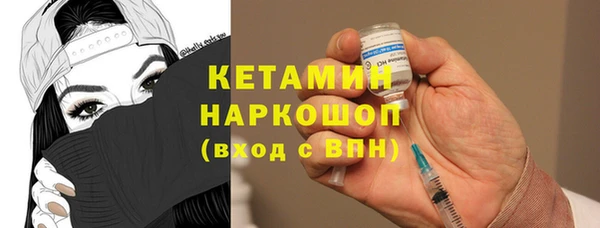 гидра Ельня